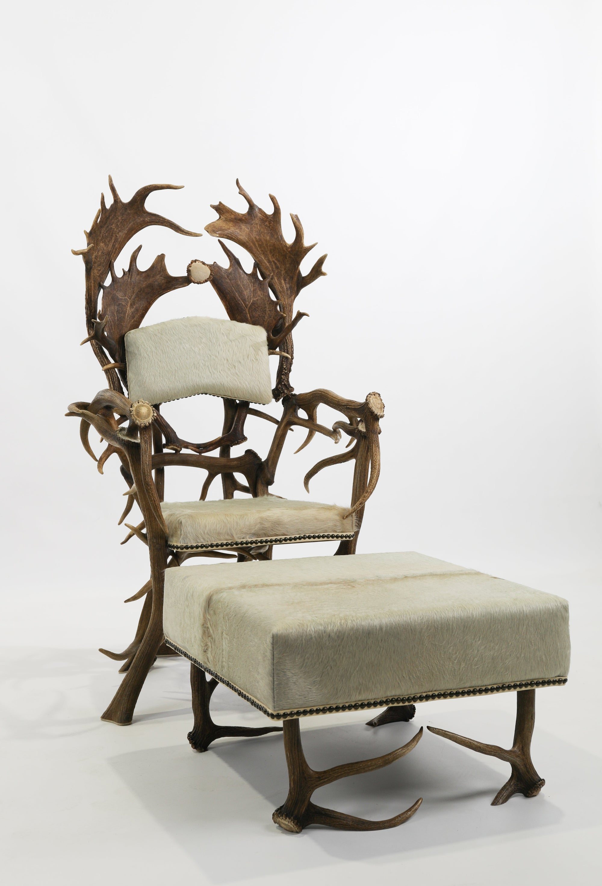 deer antlers for sale