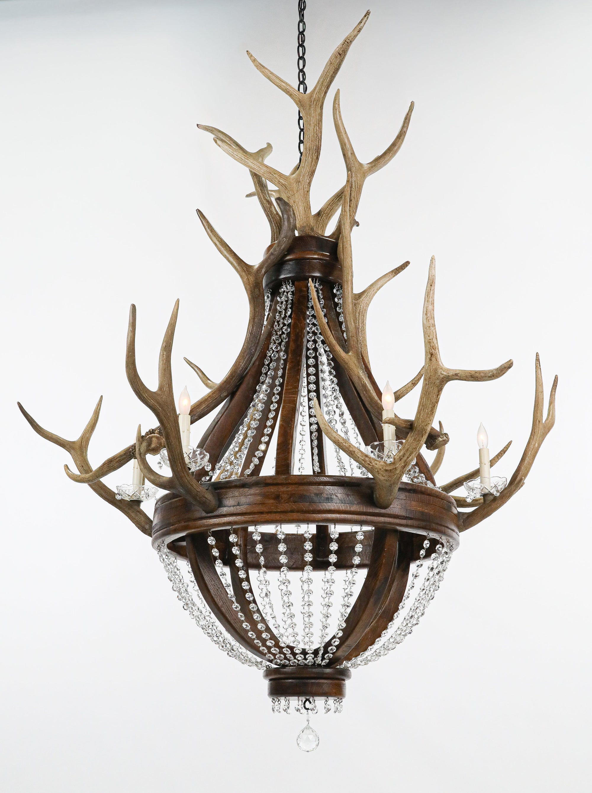 deer antlers for sale
