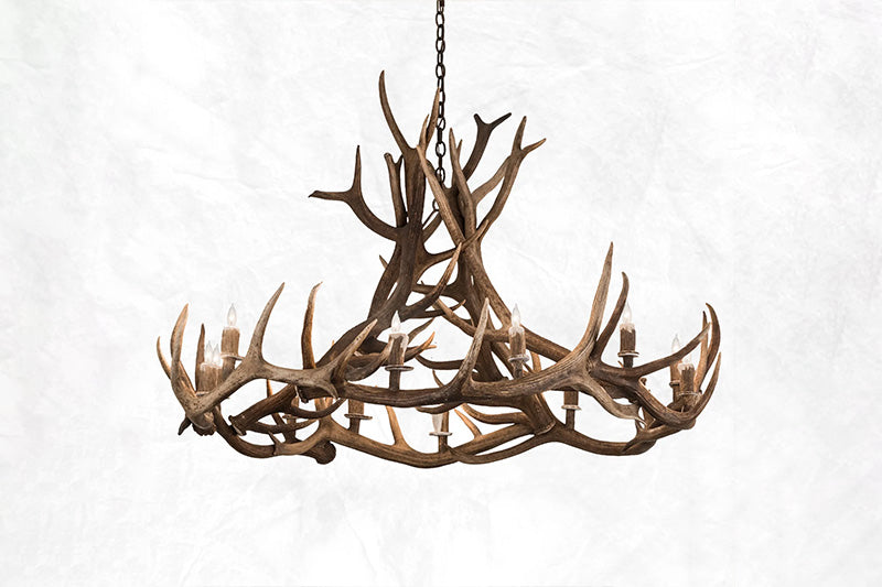 deer antlers for sale