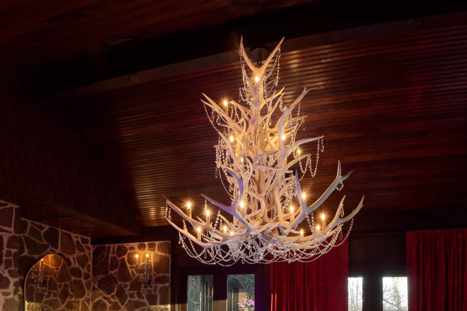 deer antlers for sale