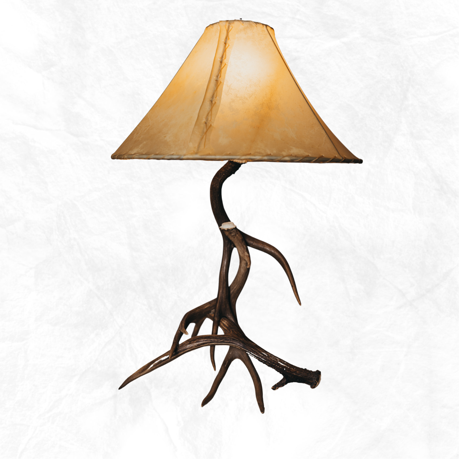 deer antlers for sale