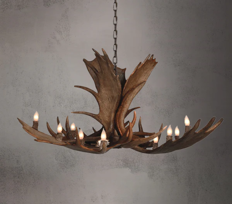 From Shed to Shelf: Sourcing and Styling Deer Horn Home Decor Ethically