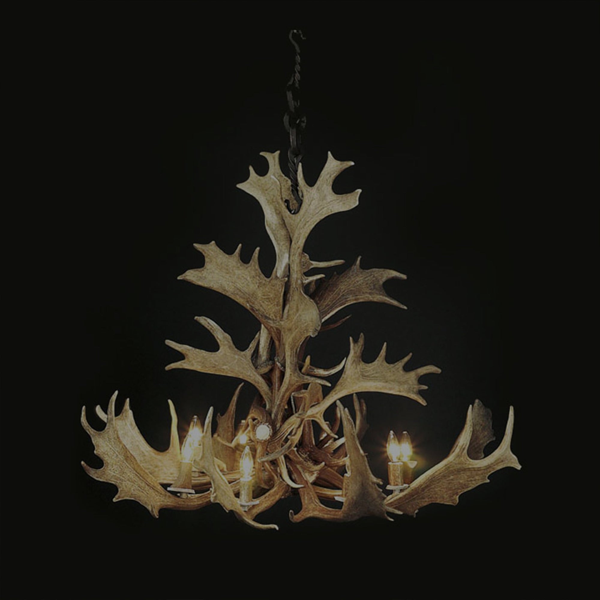 Little Big Horns Collection