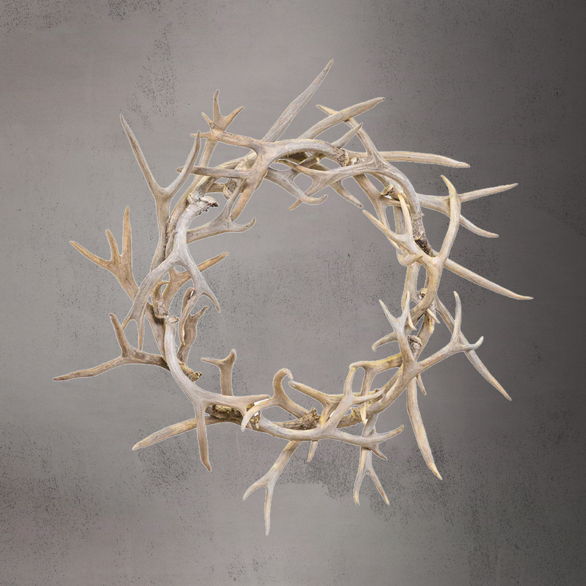 Round Antler Wreath - AW-1
