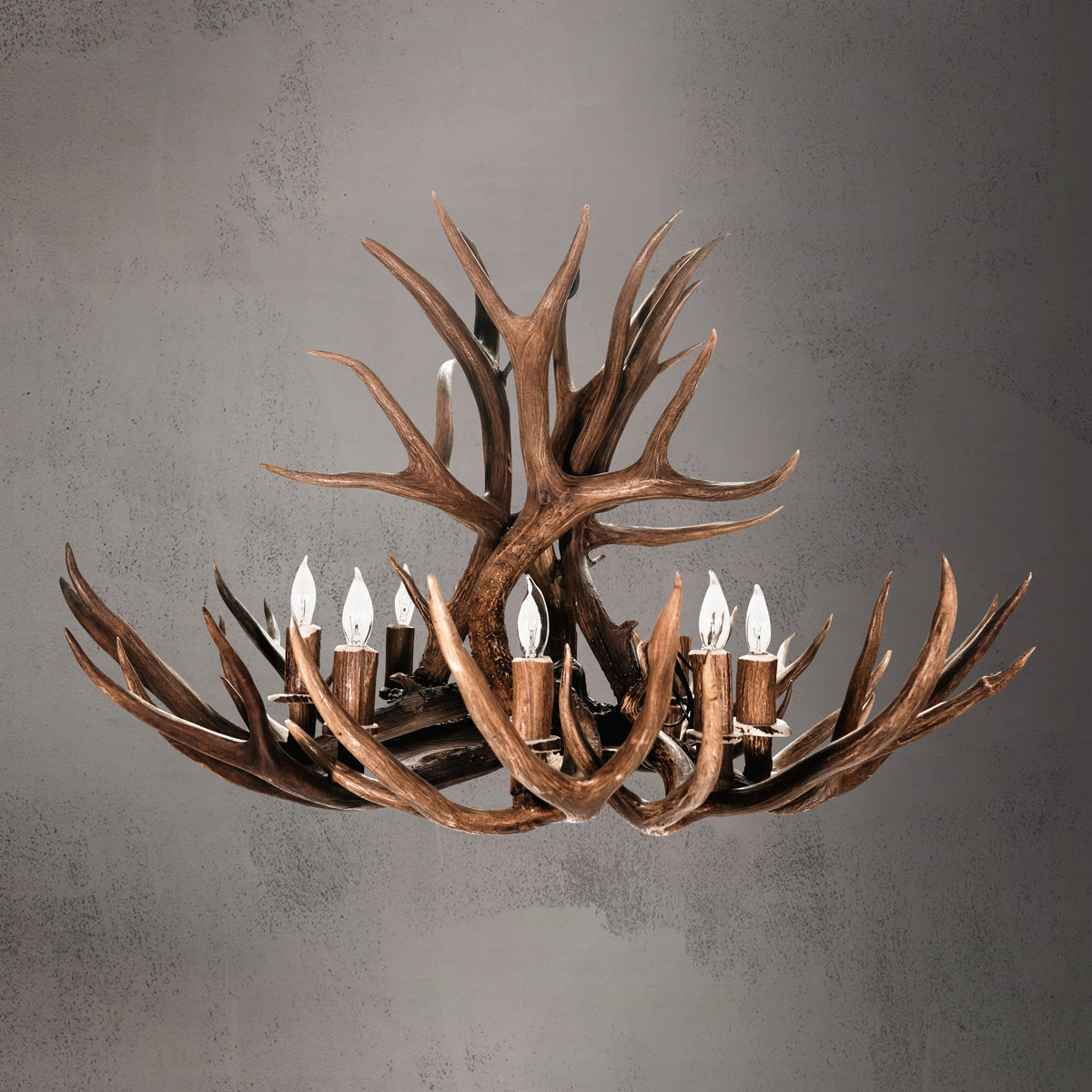 The Roosevelt 8 Light Mule Deer /Whitetail Chandelier - AWC-0