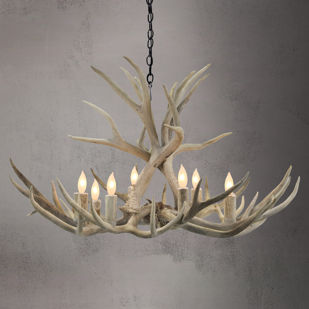 The Roosevelt 8 Light Mule Deer /Whitetail Chandelier - AWC-0