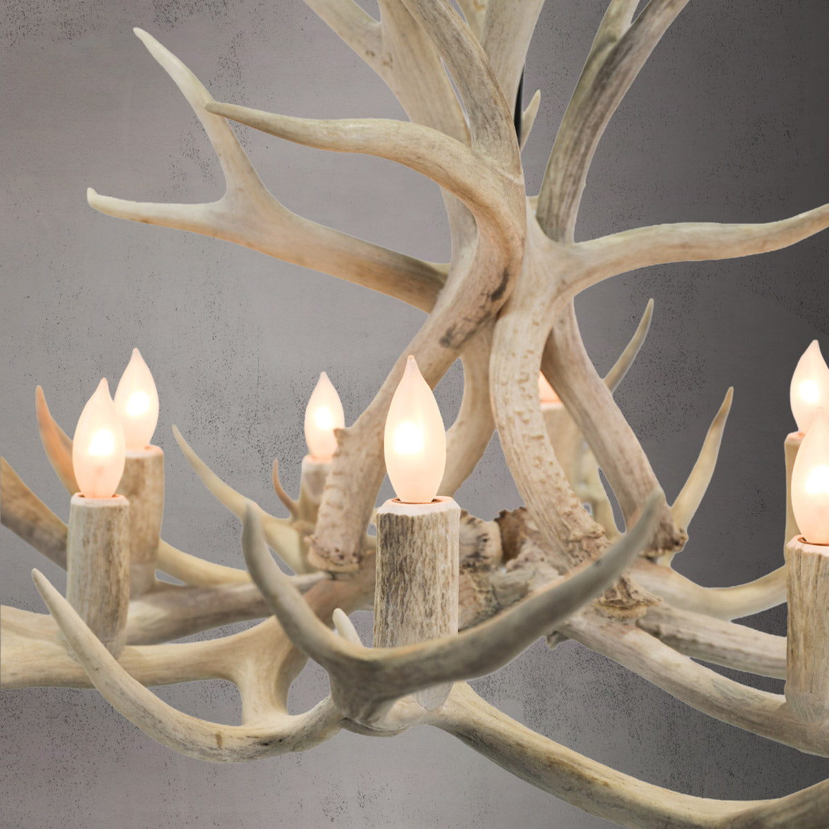 The Roosevelt 8 Light Mule Deer /Whitetail Chandelier - AWC-0
