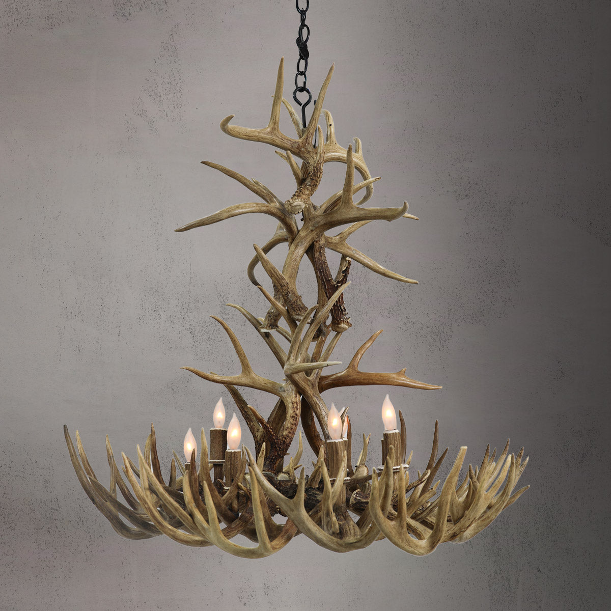 8 Light XL Whitetail/Mule Deer Chandelier - AWC-12