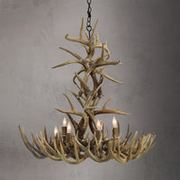8 Light XL Whitetail/Mule Deer Chandelier - AWC-12