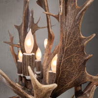 8 Light Elongated Fallow Antler Chandelier