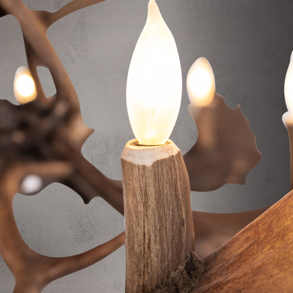6 Light Fallow Ring Antler Chandelier