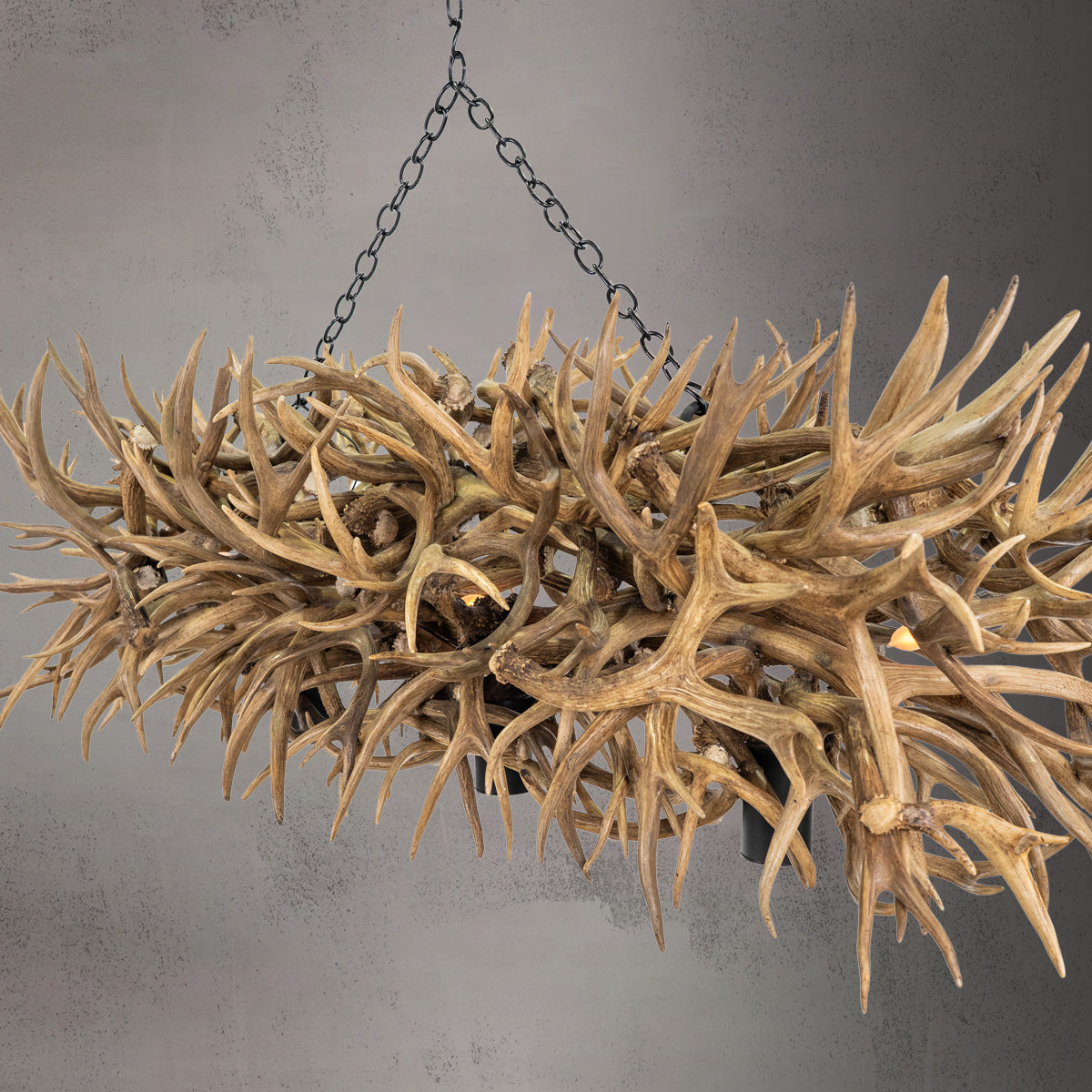 The Summit 8 Light Elk Chandelier