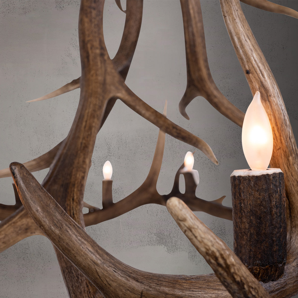 The Yellowstone 12 Lights  AWC-252