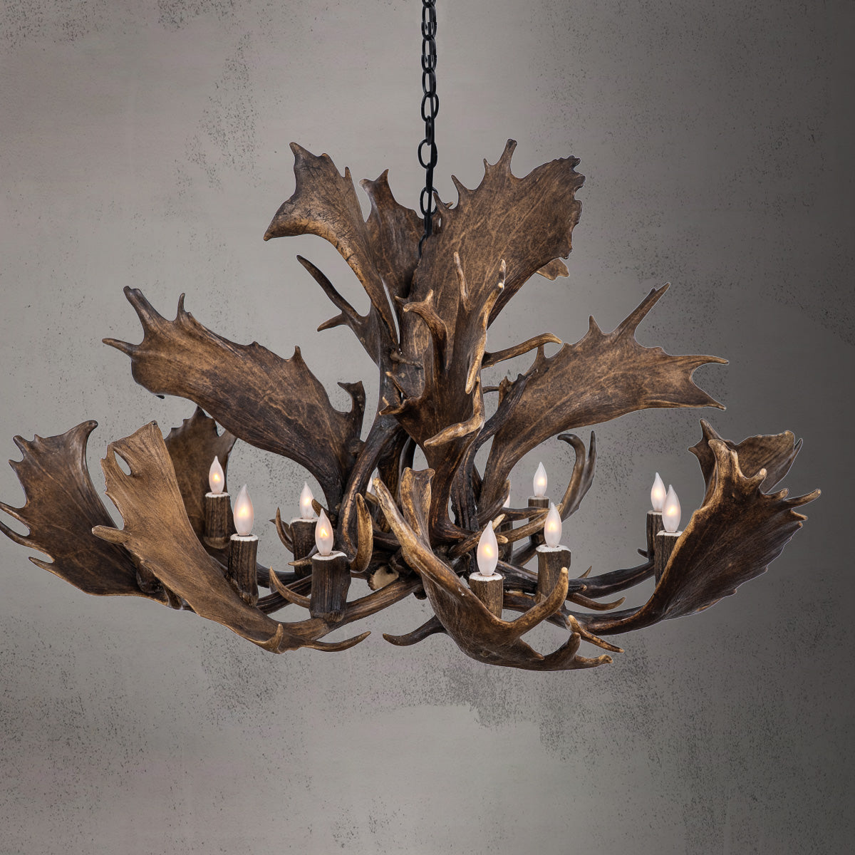 The Reserve 12 Light Fallow