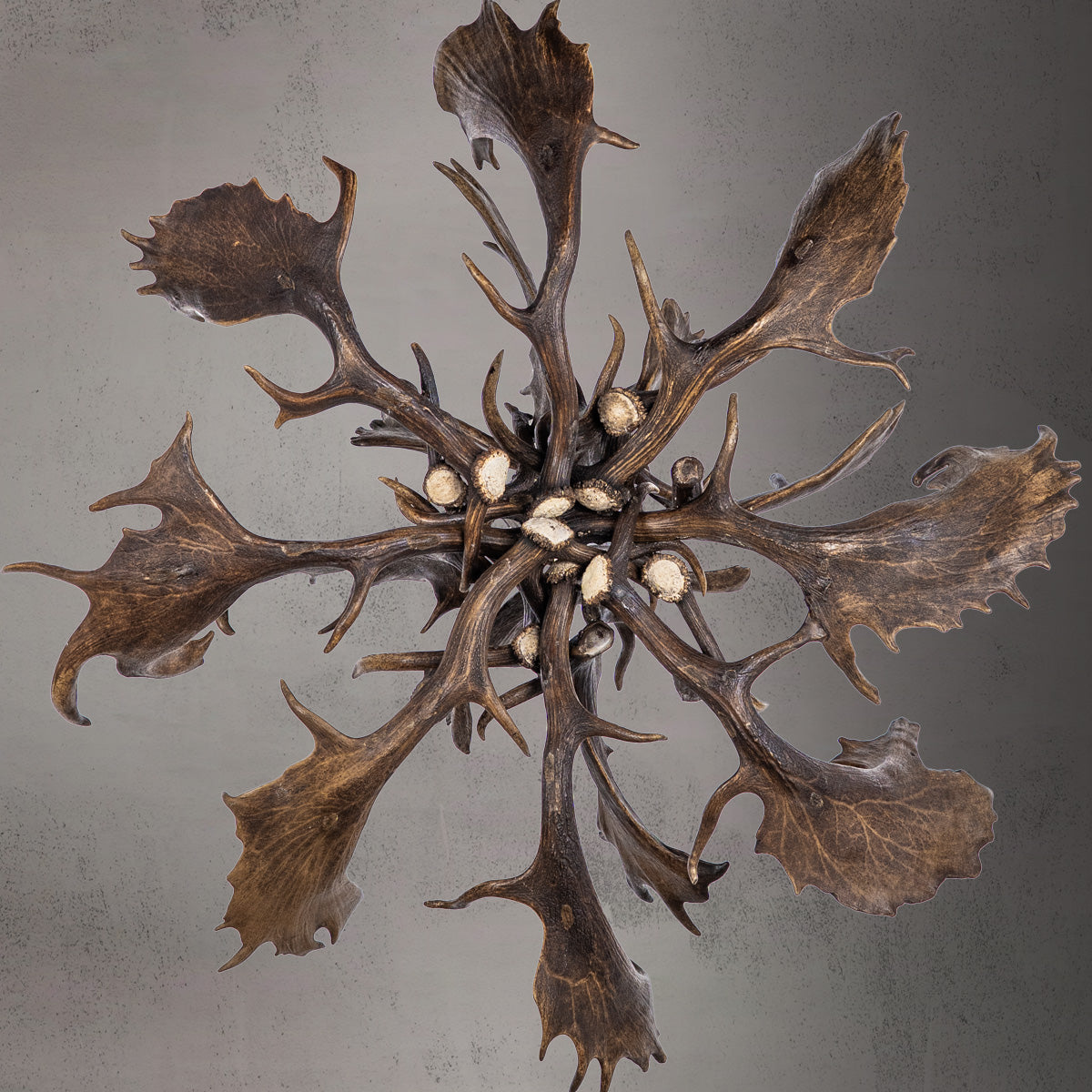 The Reserve 12 Light Fallow