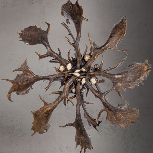 The Reserve 12 Light Fallow