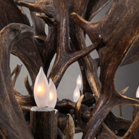 The Reserve 12 Light Fallow