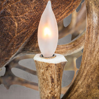 The Blanton 16 Light Fallow