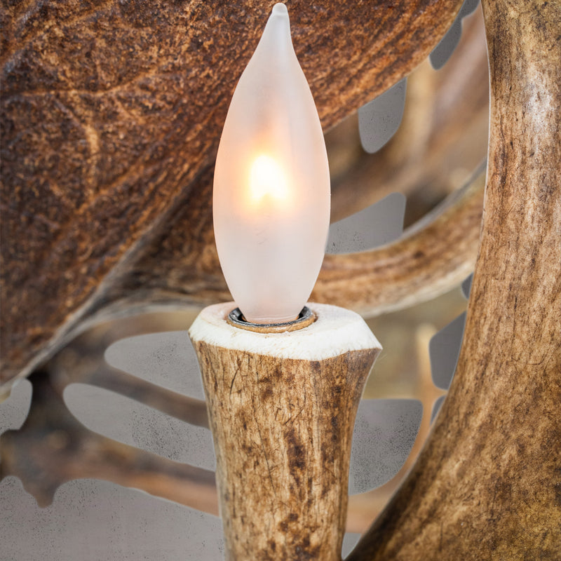 The Blanton 16 Light Fallow