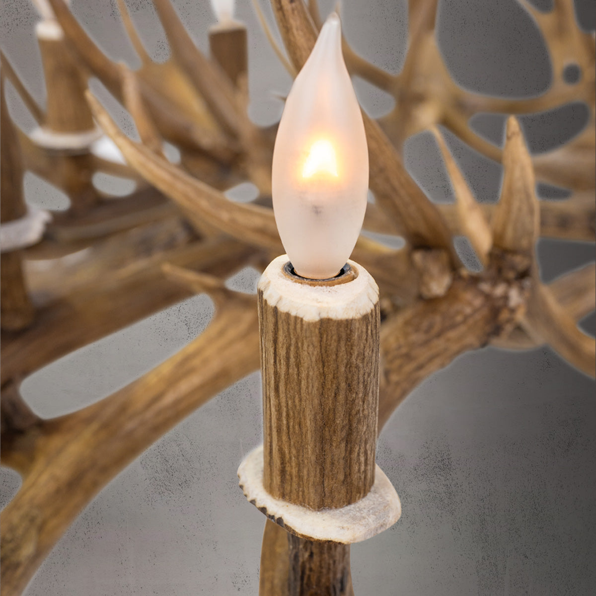 The Tower 20 Light Mule Deer