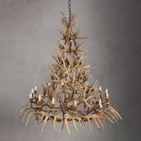 The Pinecrest 14 Light Whitetail