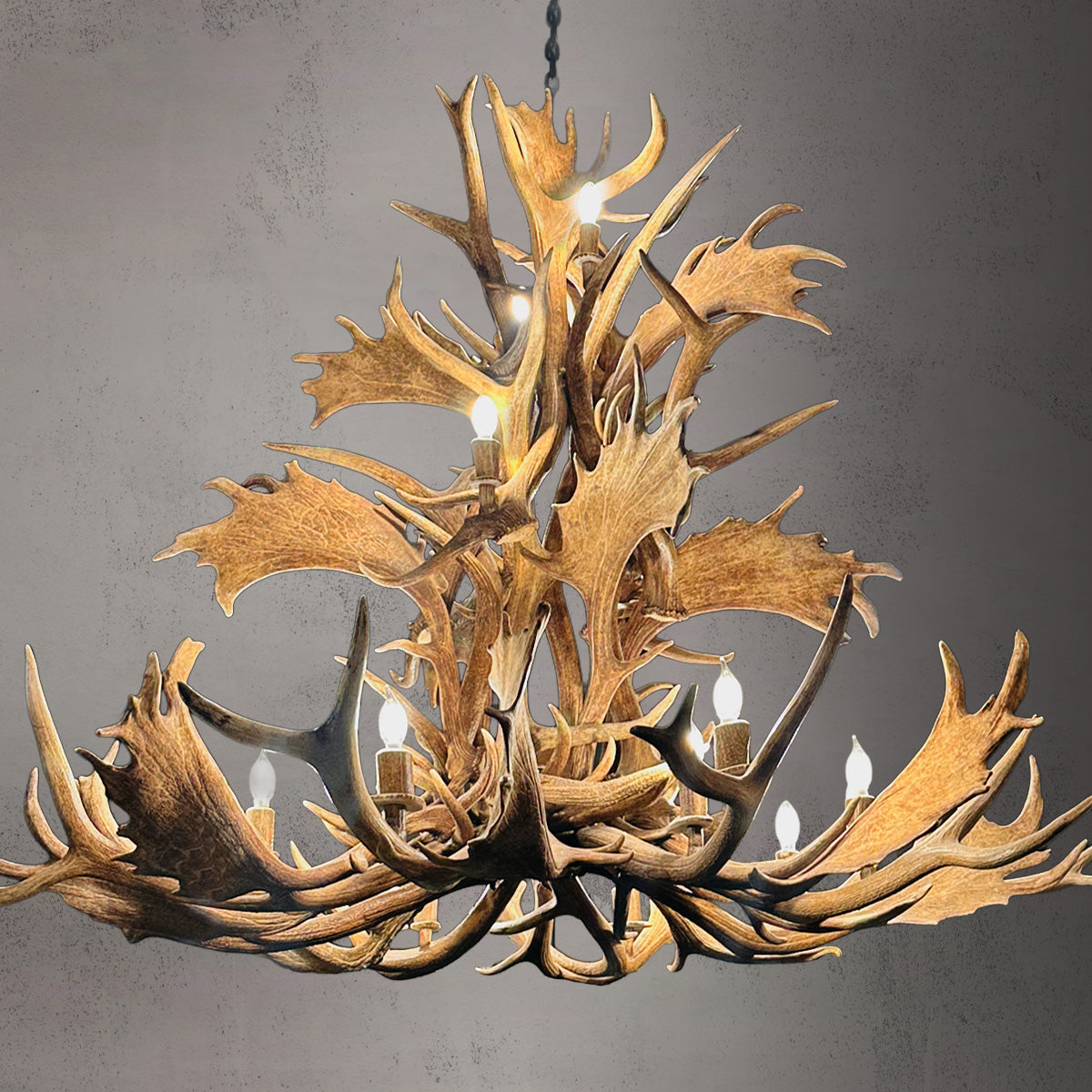 The Black Label 16 Light Elk and Fallow