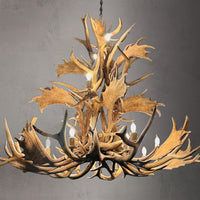 The Black Label 16 Light Elk and Fallow