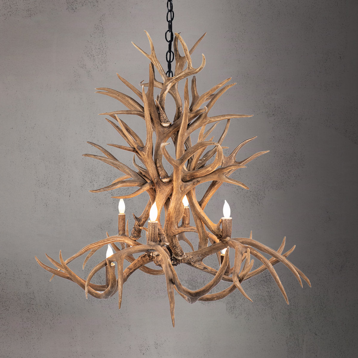 The Magnolia - 8 Light Mule Deer Antler - AWC-30