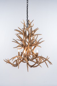 The Magnolia - 8 Light Mule Deer Antler - AWC-30