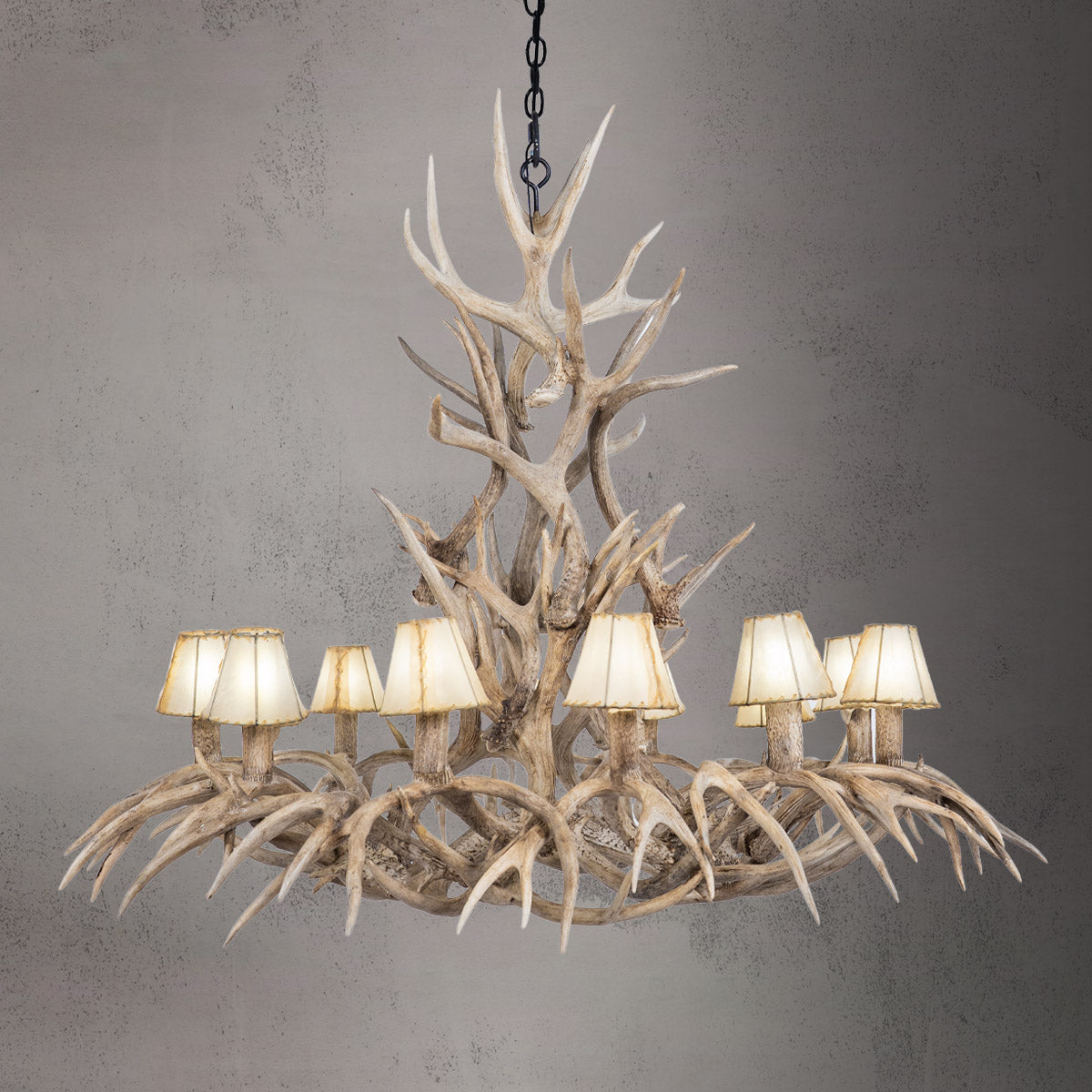 12 Light Inverted Mule Deer - AWC-31