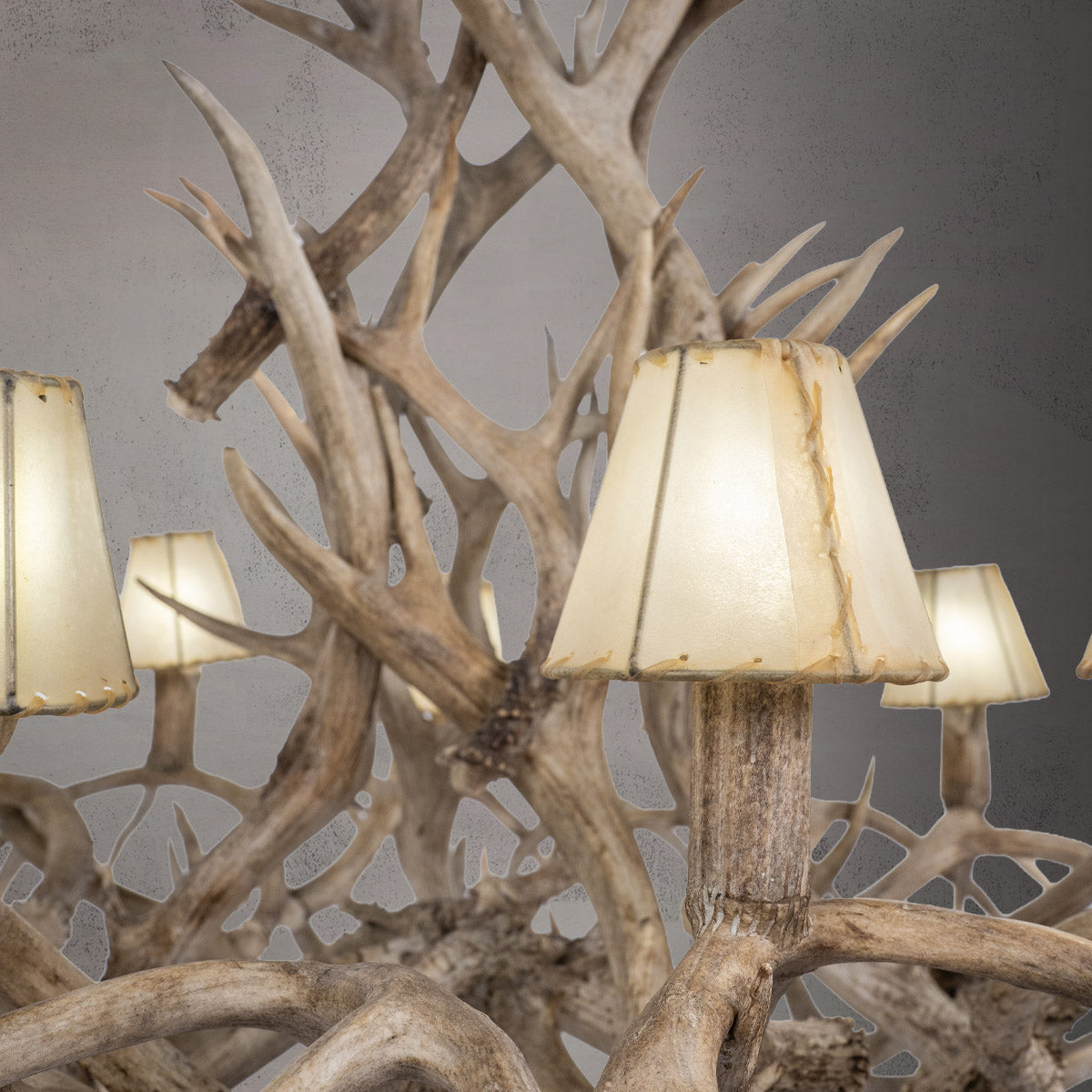 12 Light Inverted Mule Deer - AWC-31