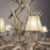 12 Light Inverted Mule Deer - AWC-31