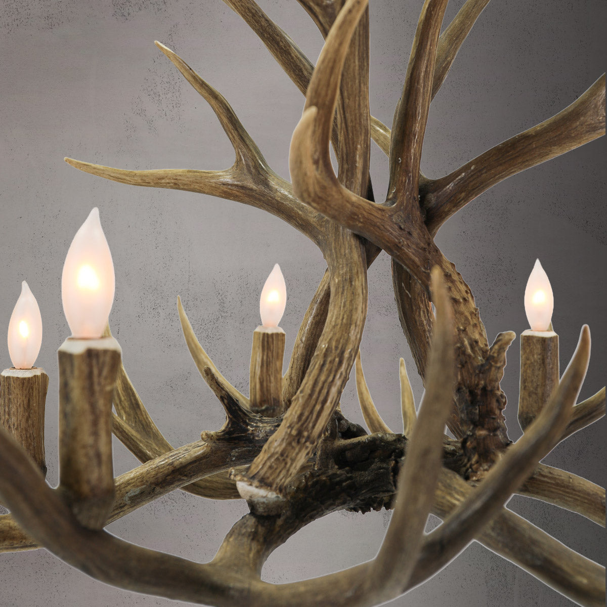 6 Light Mule Deer - AWC-38