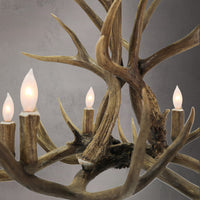 6 Light Mule Deer - AWC-38