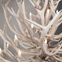 The Sunnyside 18 Light Elk