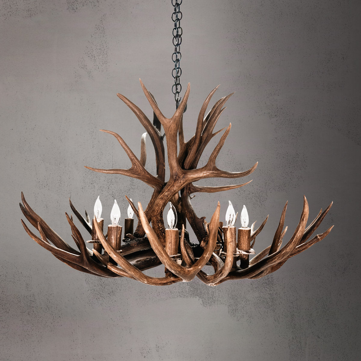 The Roosevelt 8 Light Mule Deer /Whitetail Chandelier - AWC-0