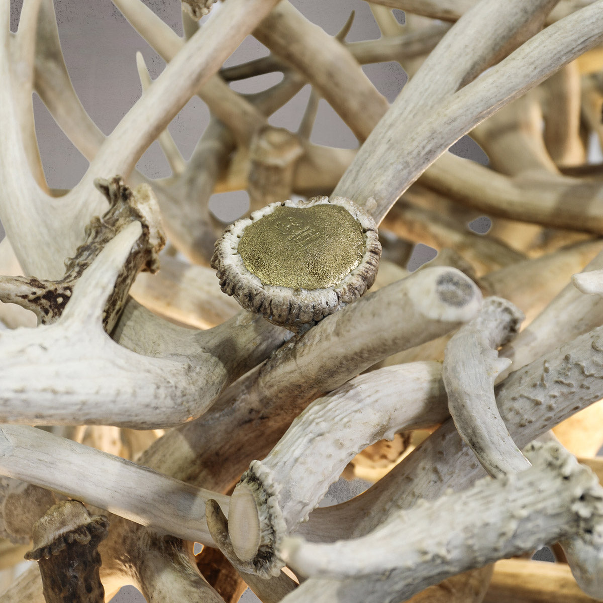 Abstract Antler Chandelier (Limited Edition) - LIM-1