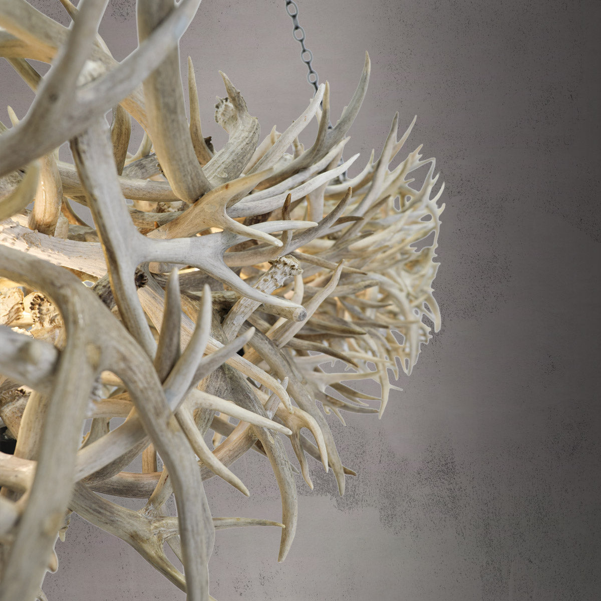Abstract Antler Chandelier (Limited Edition) - LIM-1