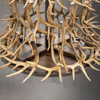 The Grand Fir Antler Christmas Tree