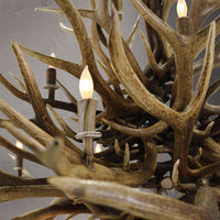 Gold Series Limited Edition Antler Chandelier - LIM-2