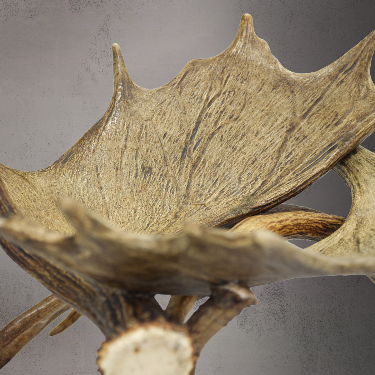 Moose Log / Magazine Rack -  R-6
