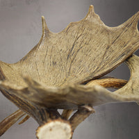 Moose Log / Magazine Rack -  R-6
