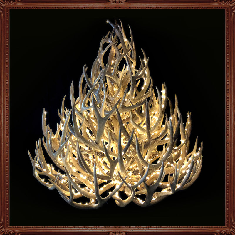 Nova / CUSTOM: Call for Quote