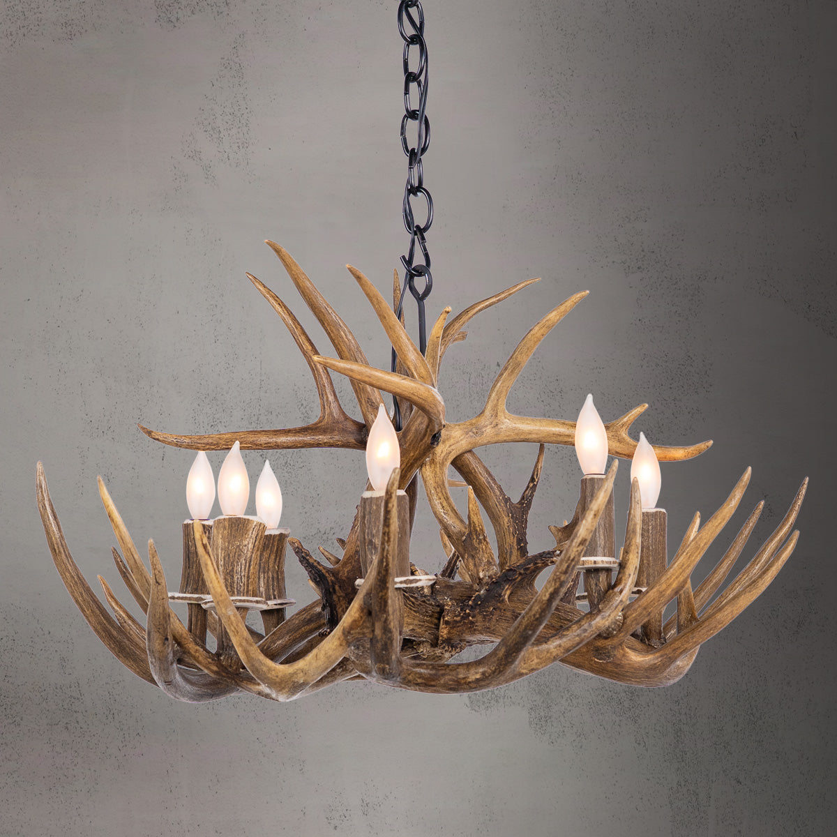8 Light Single Tier Whitetail (Large) Antler Chandelier SKU-102