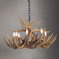 8 Light Single Tier Whitetail (Large) Antler Chandelier SKU-102