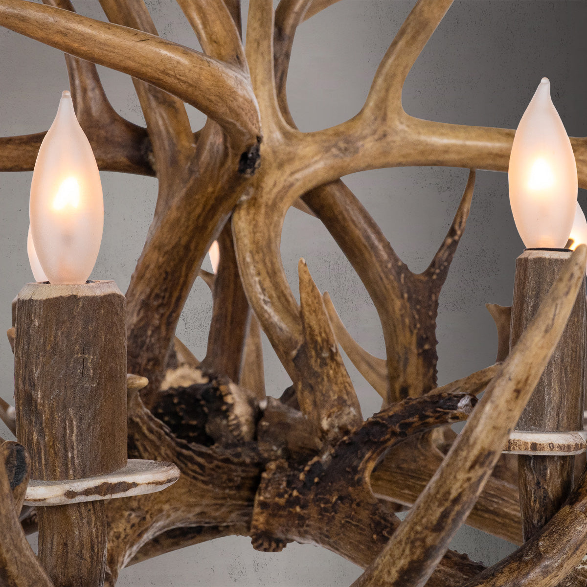 8 Light Single Tier Whitetail (Large) Antler Chandelier SKU-102