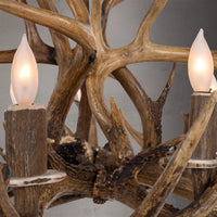 8 Light Single Tier Whitetail (Large) Antler Chandelier SKU-102