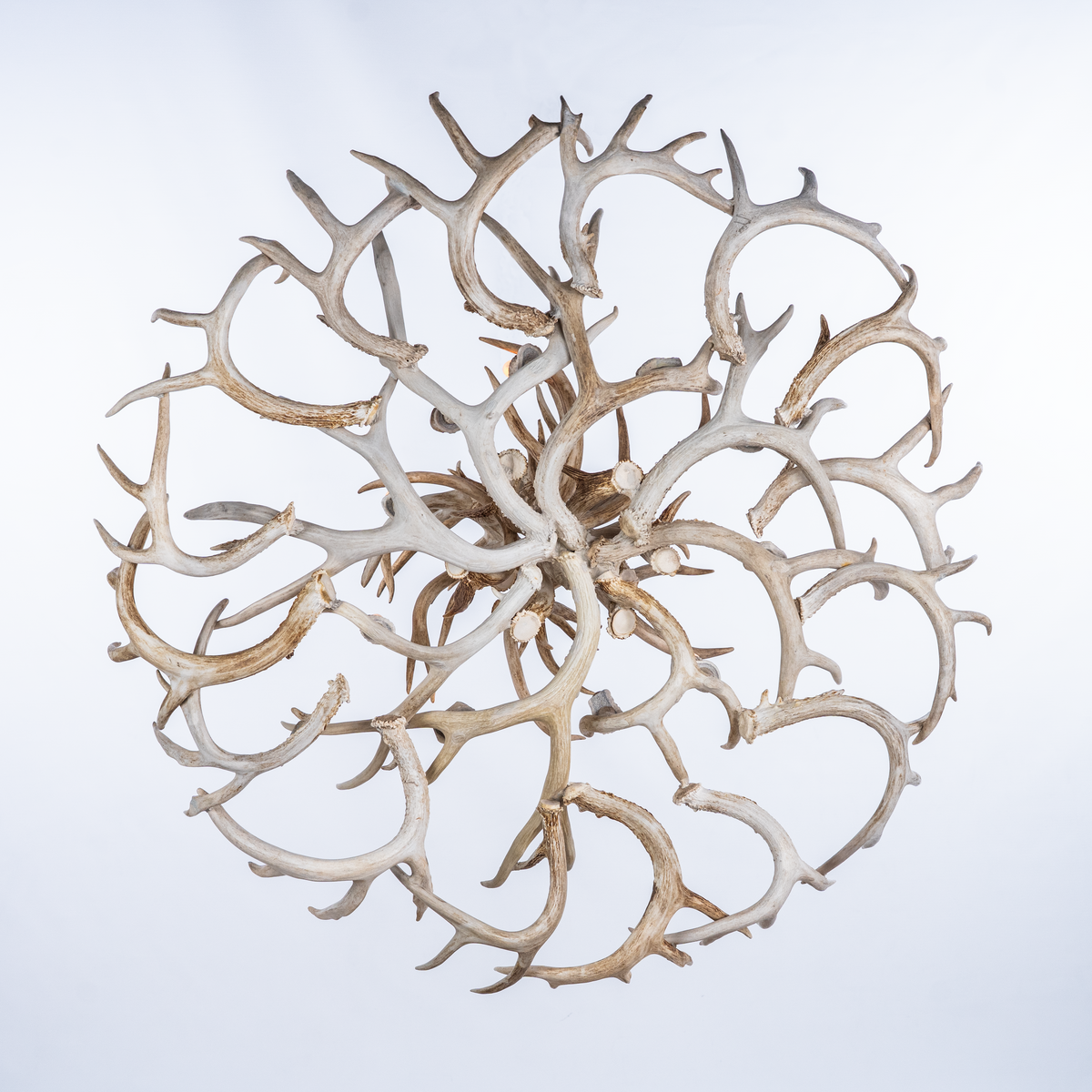 10 Light Whitetail Cascade Antler Chandelier SKU-106