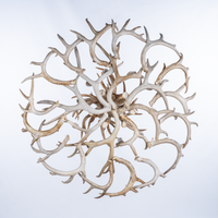 10 Light Whitetail Cascade Antler Chandelier SKU-106
