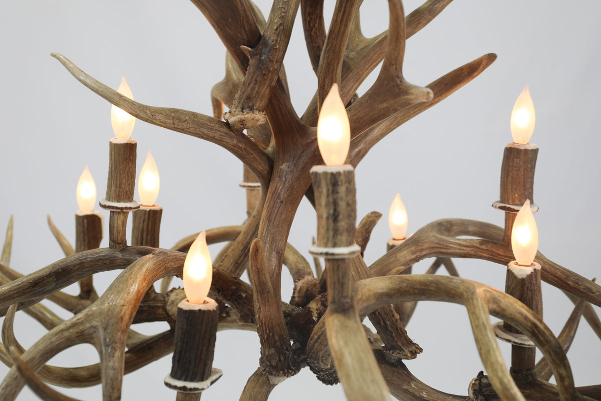 Oblong Inverted Mule Deer Antler Chandelier - SKU-77
